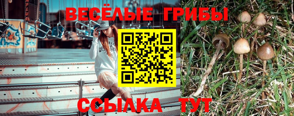 Ижевск  Галлюциногенные грибы Magic Shrooms  Вход с VPN 